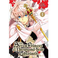 Acheter The Seven Princes of the Thousand Year Labyrinth sur Amazon