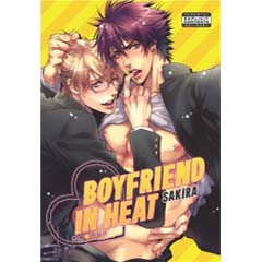 Acheter Boyfriend in Heat sur Amazon