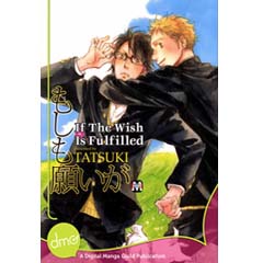 Acheter If the Wish is Fulfilled sur Amazon